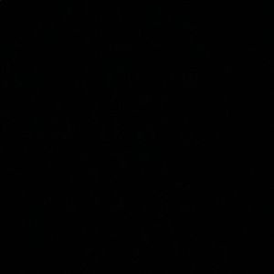 Meet your Posher, Maya